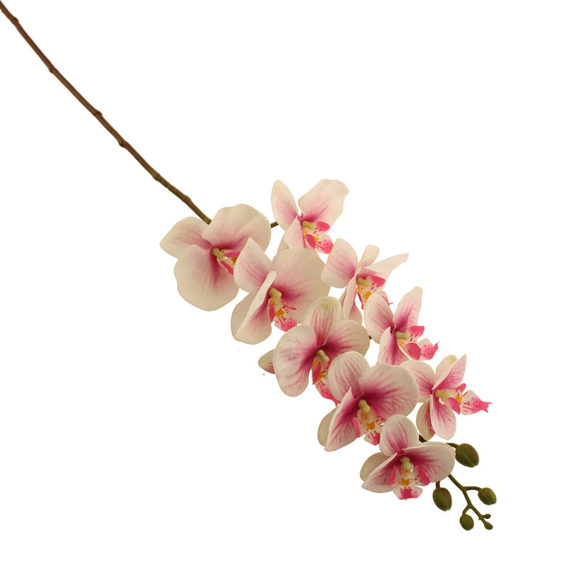 Fabric Orchid Arrangement, Blush