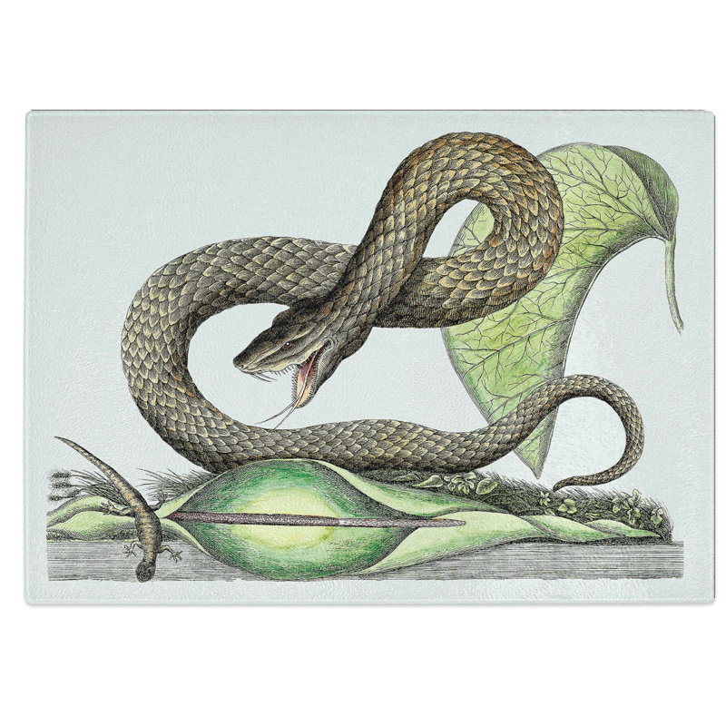 Tempered Glass Viper Snake Chopping Board, 28.5 cm W x 20 cm L