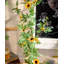 Guirlande Sunlit Bloom