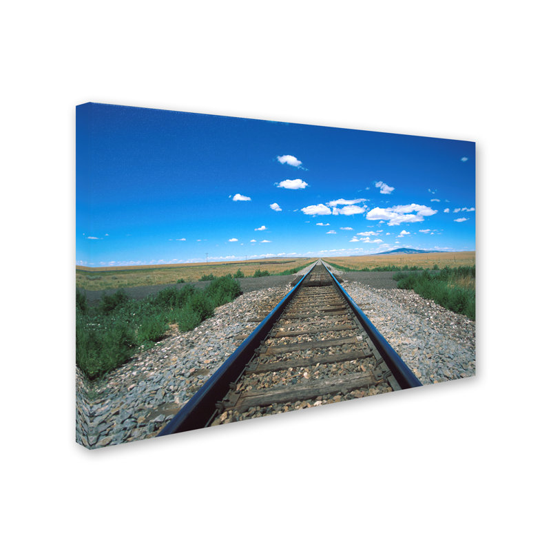 «Texas Tracks 2» par Sarko, reproduction de photo sur toile tendue, H 30 po x l 47 po x P 2 po