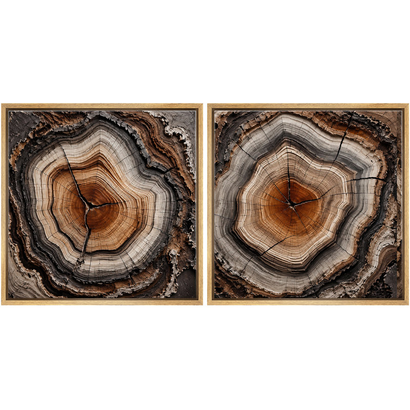 Ensemble de 2 reproductions rondes en forme d'arbre rond avec grain de bois brun chaleureux, H 16 po x l 16 po x P 1,5 po
