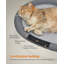 Elevated Pet Bed-105919700