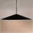 Lark 4 - Light Matte Black Single Pendant
