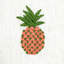 Pineapple Embroidery Fabric-830961229