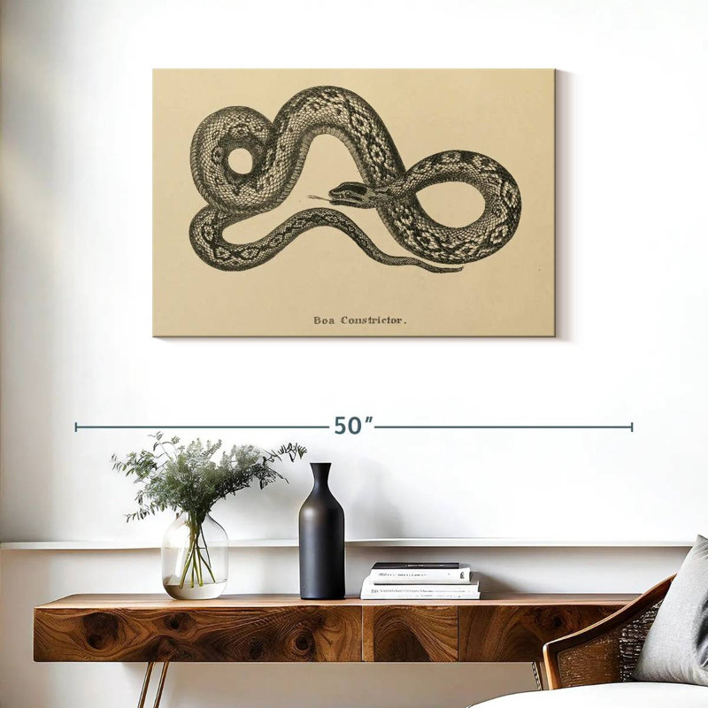 Brampt Vintage Boa Constrictor I, 24" H x 36" W