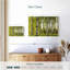 Bouleaux Harnek-108818472
