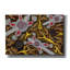 Art mural sur toile Epic Graffiti «Outback Flyers» par Pat Saunders-White, 26 po x 18 po