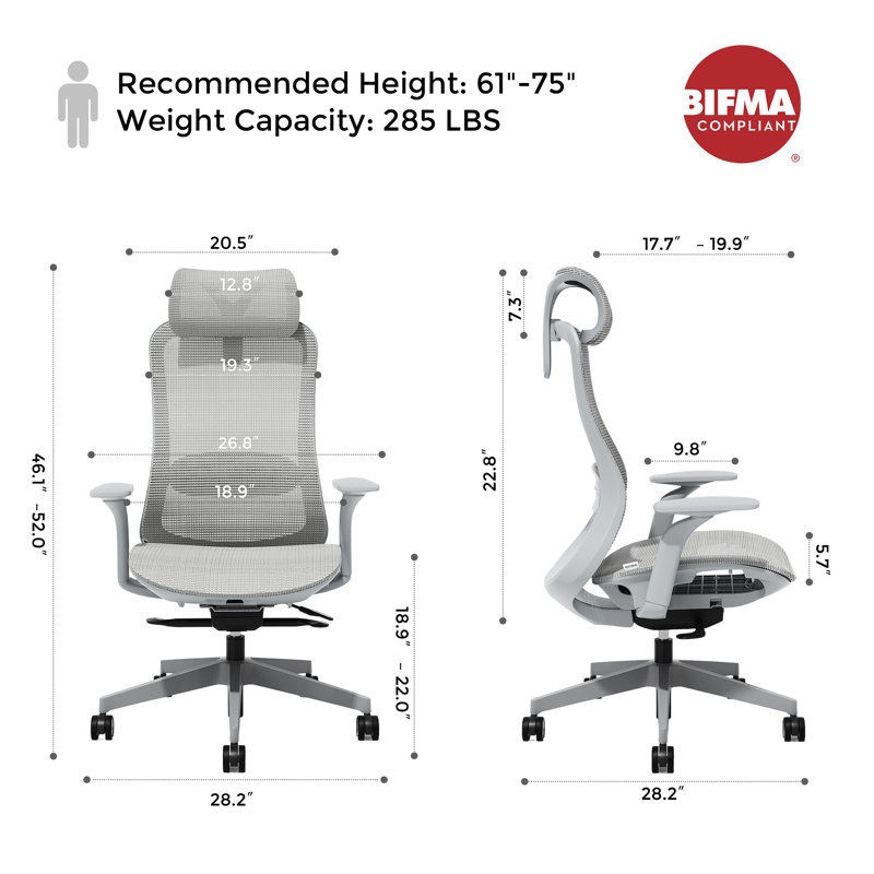Ergonomic Mesh Task Chair, Adjustable Office Chair with 2D Headrest & 3D Armrest, Home Office Desk Chair with Lumbar Support, Recline Function,Gray