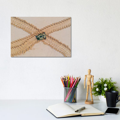 Green Turtle 1 Piece Wrapped Canvas Painting