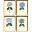 Pressed Hydrangea Set by Sandy Whitaker-259530007-259530003