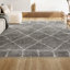 Tapis gris / ivoire Cantera-780537135