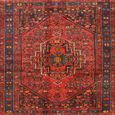 Performance Oriental Indoor Rug