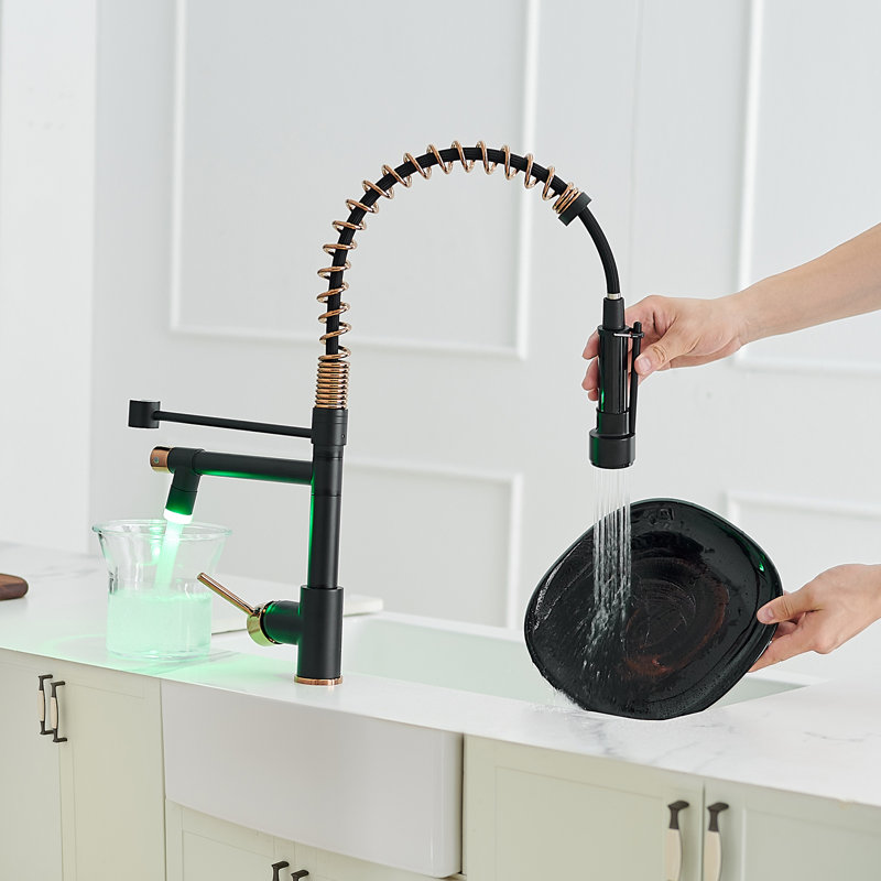 FLG Pull Down Kitchen Faucet