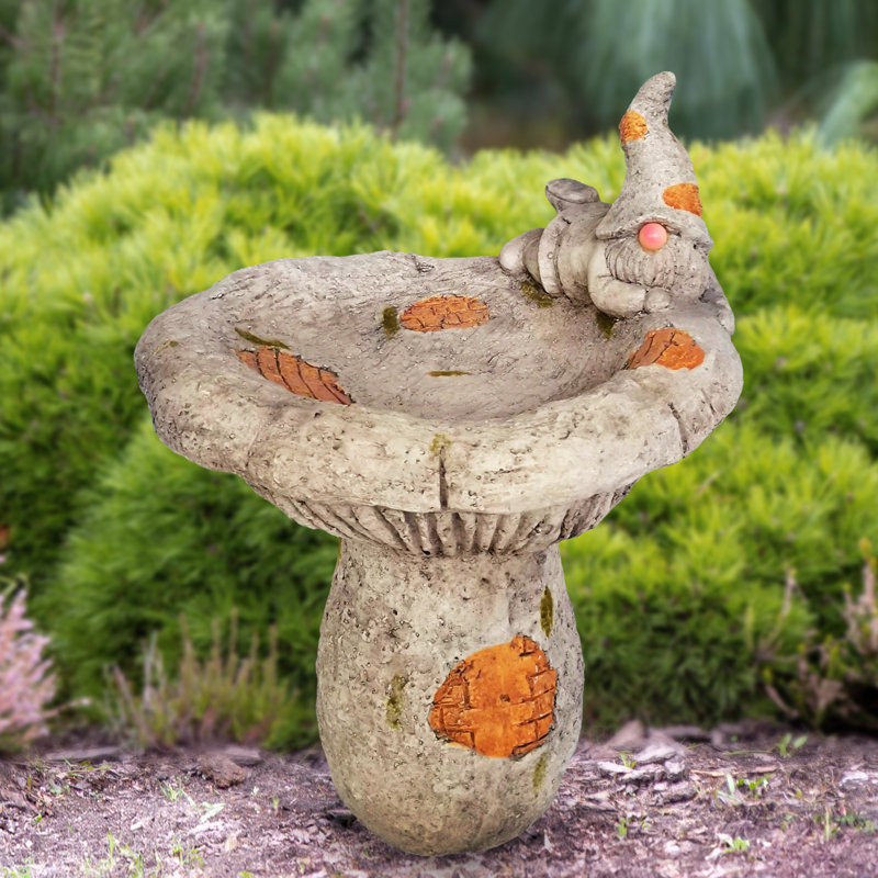 Bain d'oiseaux Broc Gnome