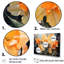 Efflorescence de jonquilles orange-1348056973-1348056967