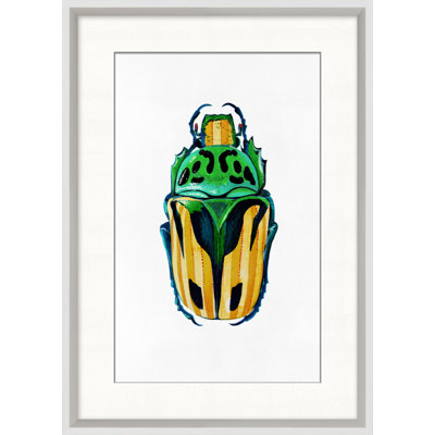Rainbow Insect 3