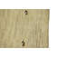 Tapis beige en laine noué à la main Robbinsville