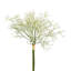 BABY'S BREATH BUNCH SET OF 12