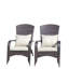 Patio Chair With Cushions( Grey Cushion)-1125353241