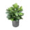 4' Areca Palm Bush In Fiberstone Planter