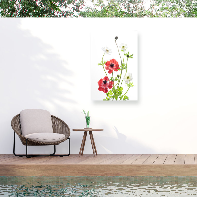 «Spring Anemone Family» sur toile par Ipuravida, H 24 po x l 16 po