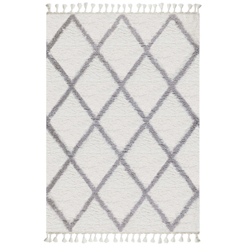 Tapis à poils longs Marquavius, Rectangle 2 pi 8 po x 5 pi