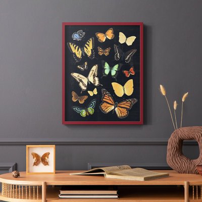 Collected Flutter III Framed Print - Solid Wood