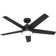 Skyflow 52" 5-Blade Standard WeatherMax Indoor/Outdoor Ceiling Fan with Lights and Wall Control