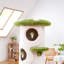 Structure d'escalade simple-286749325