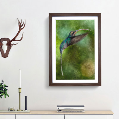 Green Hermit Hummingbird - Picture Frame Painting Print