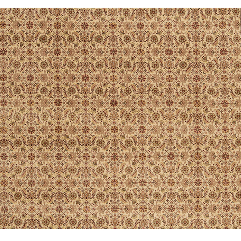 Wool Oriental Area Rug in Ivory