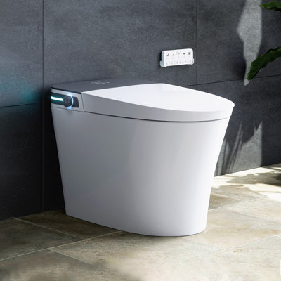 Smart Bidet Toilet 10" Rough-in, Bidet Built-in, Instant Warm Water, Elongated Heated Toilet Seat, Dryer, Blackout Flushing And Deodorization