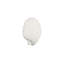 Sea Shell Wall Art, White Stone