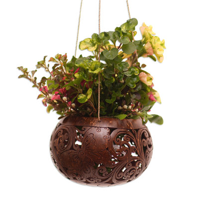 Bungalow Rose Handmade Tropical House In Butterfly Coconut Shell Hanging Planter