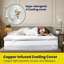 Brightr® Titan 2 In 1 Mattress Topper - Firm-111678651