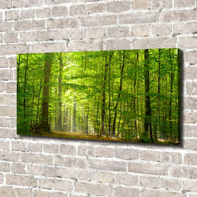 Deciduous Forest - No Frame Print on Canvas