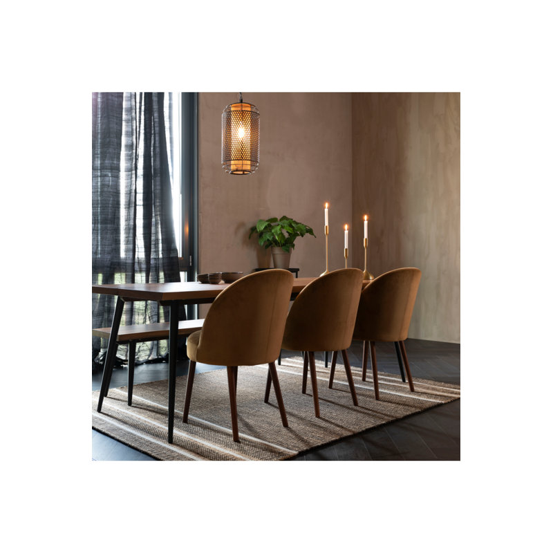 Djahe Striped Area Rug in Brown/White