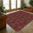 Living room area carpet, large anti slip washable carpet, Bohemian retro medal printed pattern carpet suitable for bedrooms, dining rooms, family offices, daycare centers, dormitories, farmhouses, retro red-2004254300