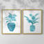 Impression encadrée V-Premium Watercolor House Plant - prête à être accrochée - aucun clou requis - aucun clou requis-1699400281-1699400283