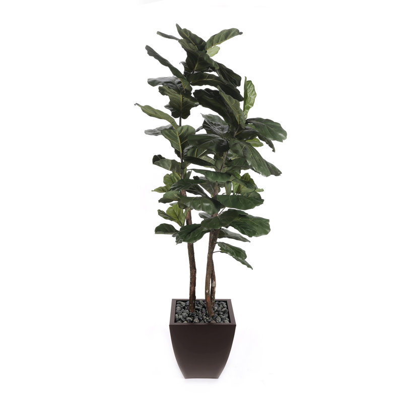 Figuier brésilien en pot, Pot à fleurs brun métallique