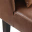 Evangeleen Faux Leather Lounge Chair with Pillow and Dark-Finished Solid Wood Legs, Brown