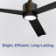 Valen 60" Indoor/Outdoor Ceiling Fan with LED Light, 6CCT Dimmable, Ceiling Fan with Light and Remote - Matte Black-18285817-18285816