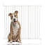 Eco Screw Fit Wall Mounted Pet Gate-70798832