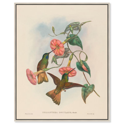 Gumm's Hummingbirds, toile par Art Remedy