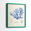 Algue bleue bleue - reproduction encadrée de qualité supérieure - prête à être accrochée - aucun clou requis - aucun clou requis-807077258-807077257