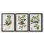 Oiseau antique, botanique et œuf I - ensemble de 3 peintures sur toile encadrées-1128397841-1128397842