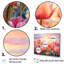 Tulipes coucher de soleil IV - Tulipes, art mural-97031053-97031060