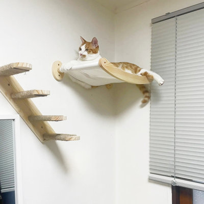 Cat Bed with Stairway on Wall