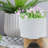 Darci Stoneware Ceramic Planter with Stand - Textured Decorative Plant Pot with Bamboo Base - Modern Indoor/Outdoor Raised Planter-1368685371