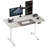 55" X 28" Electric Height Adjustable Standing Desk-449401126